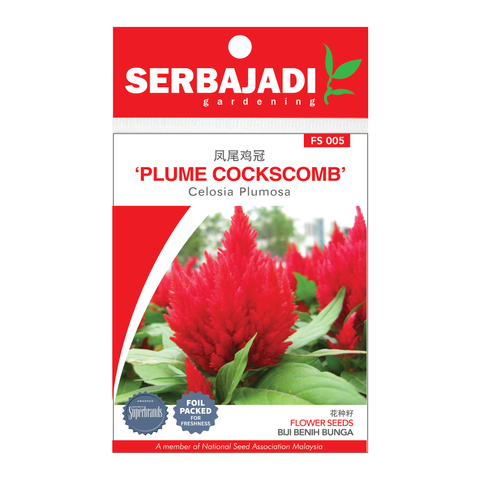 PLUMED COCKSCUMB FS005.png