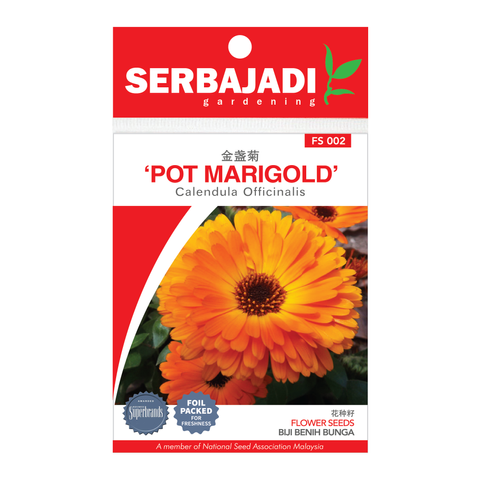 POT MARIGOLD FS002.png