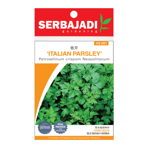 HS001 ITALIAN PARSLEY.png