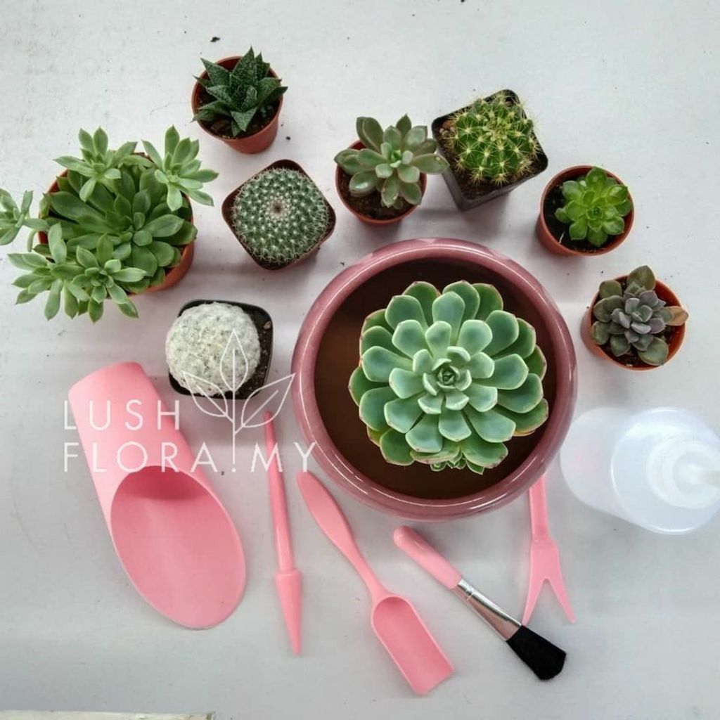 succulent 6 pcs tool set pink.jpg