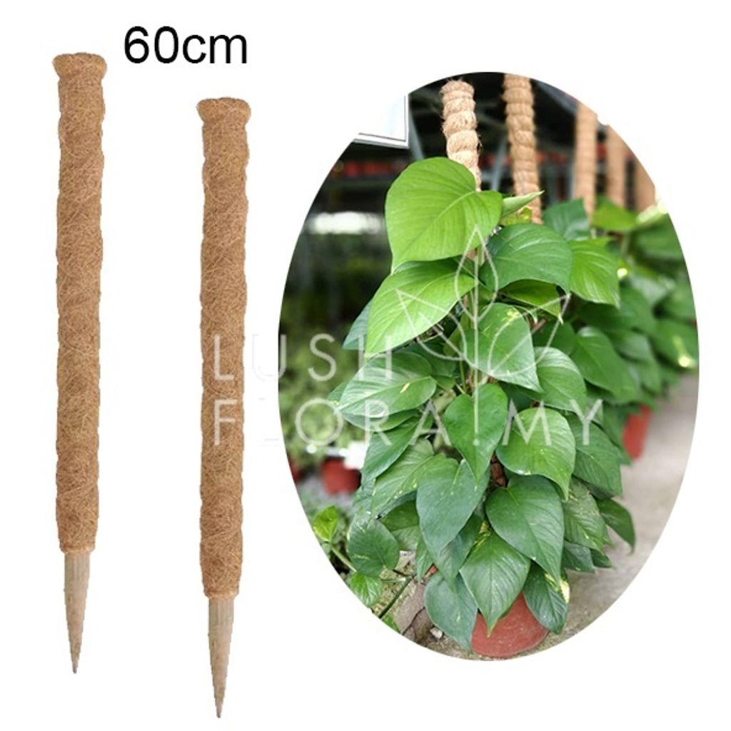 coco fibre stick 60cm.jpg