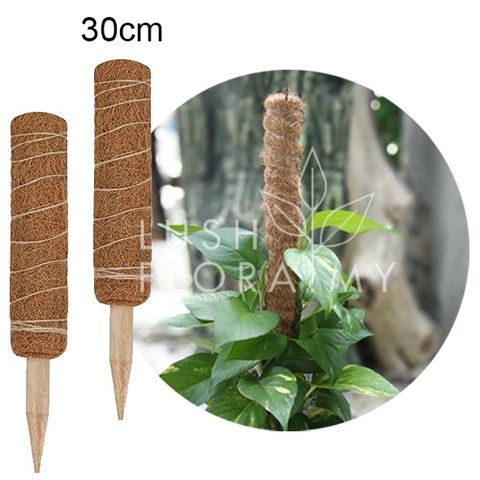 coco fibre stick 30cm.jpg