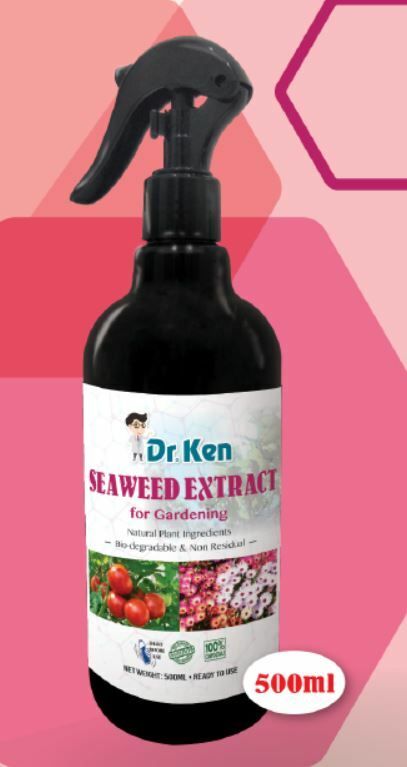 DK SEEDWEED EXTRACT.JPG