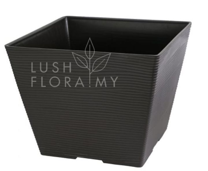 FBL 2494 DB.JPG