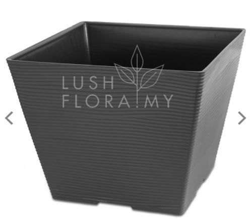 FBL 2491 GREY.JPG