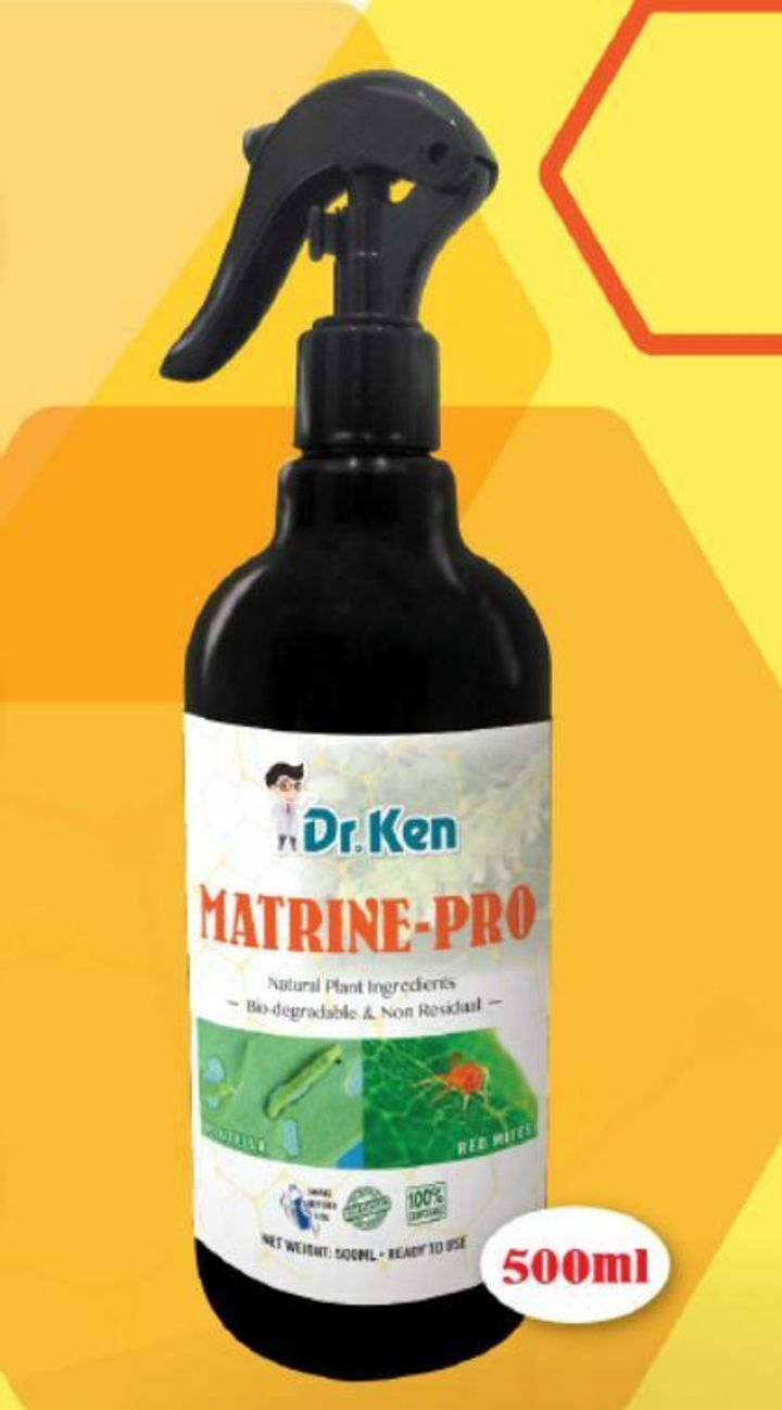 DK MATRINE PRO.JPG