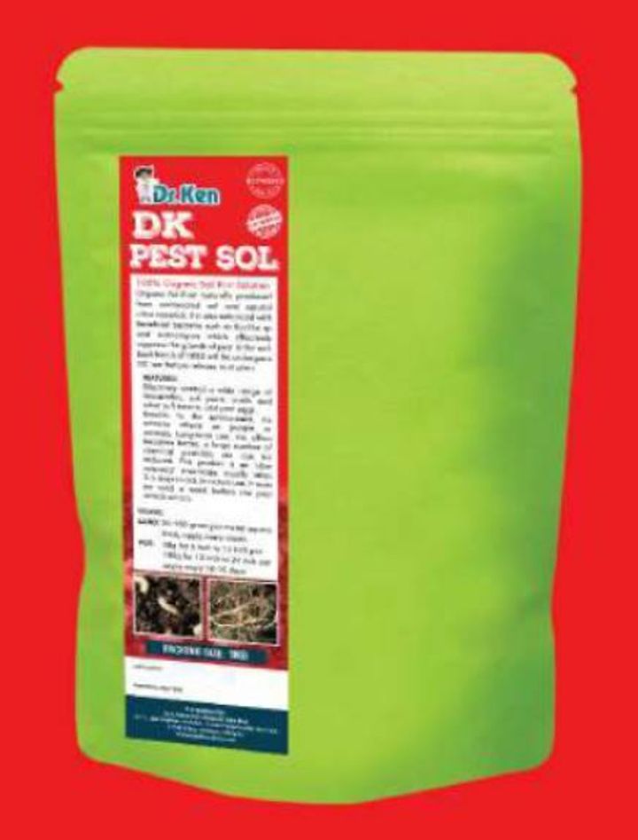 DK PEST SOL.JPG