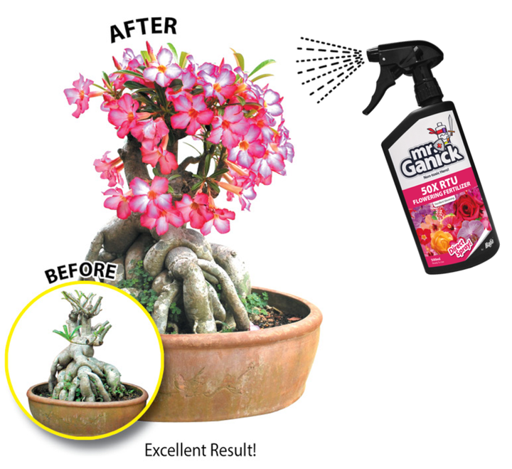 Spray50x_916x840.png