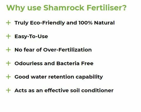 shamrock fertilizer.JPG