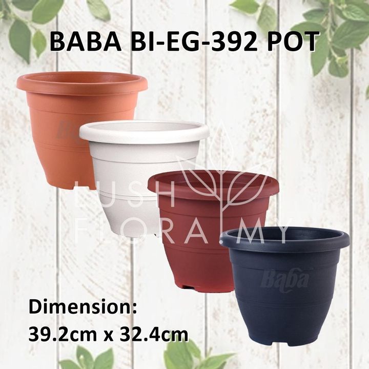BABA EG392 (2).jpeg
