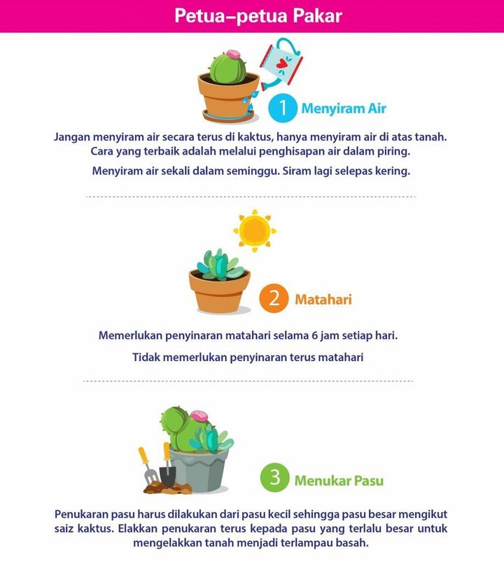 Cacti-Succulent-Potting-Mix-Soil-Packaging_7L_malay-918x1024.jpg