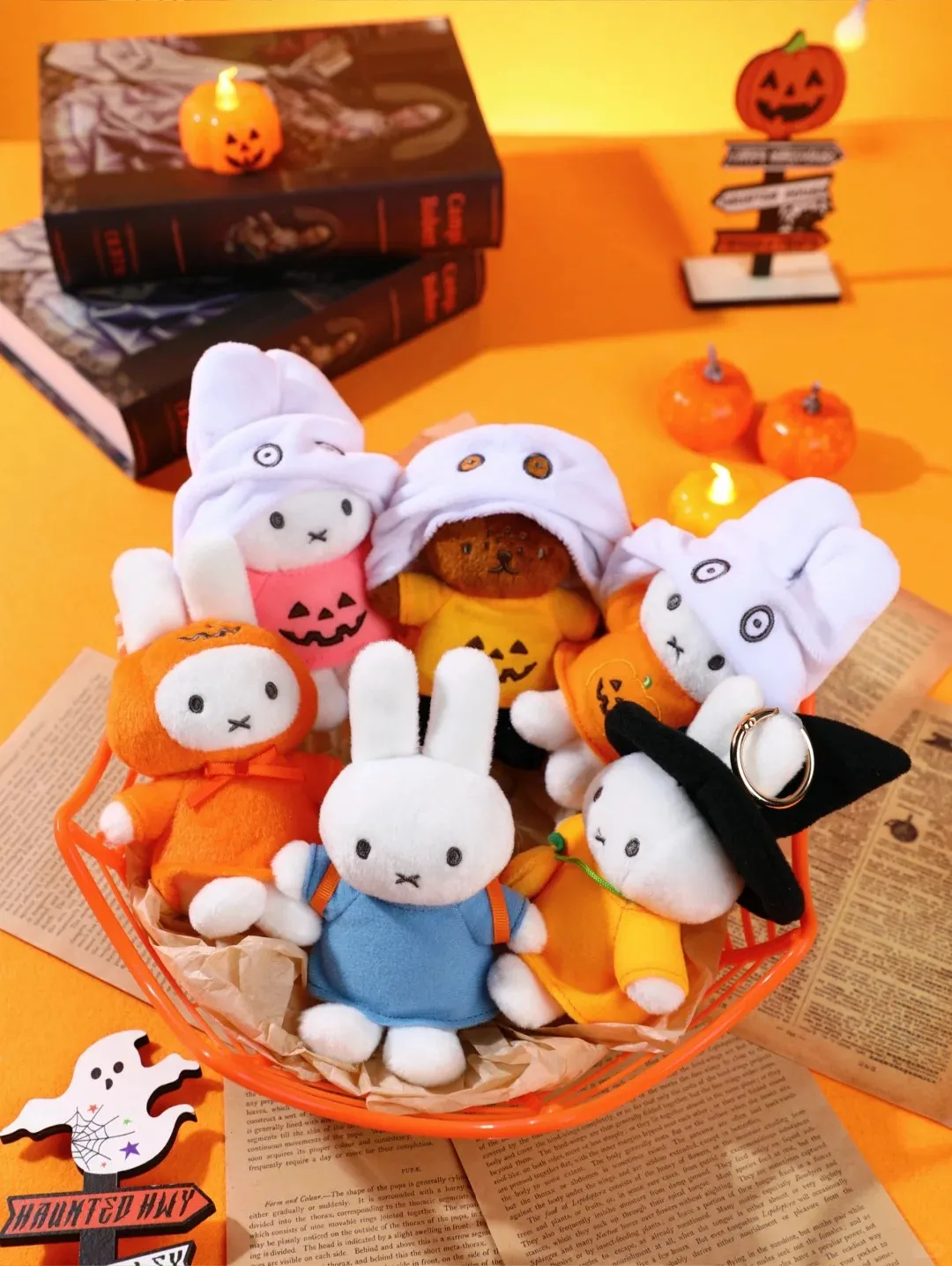 Miffy Halloween | Room Twoo