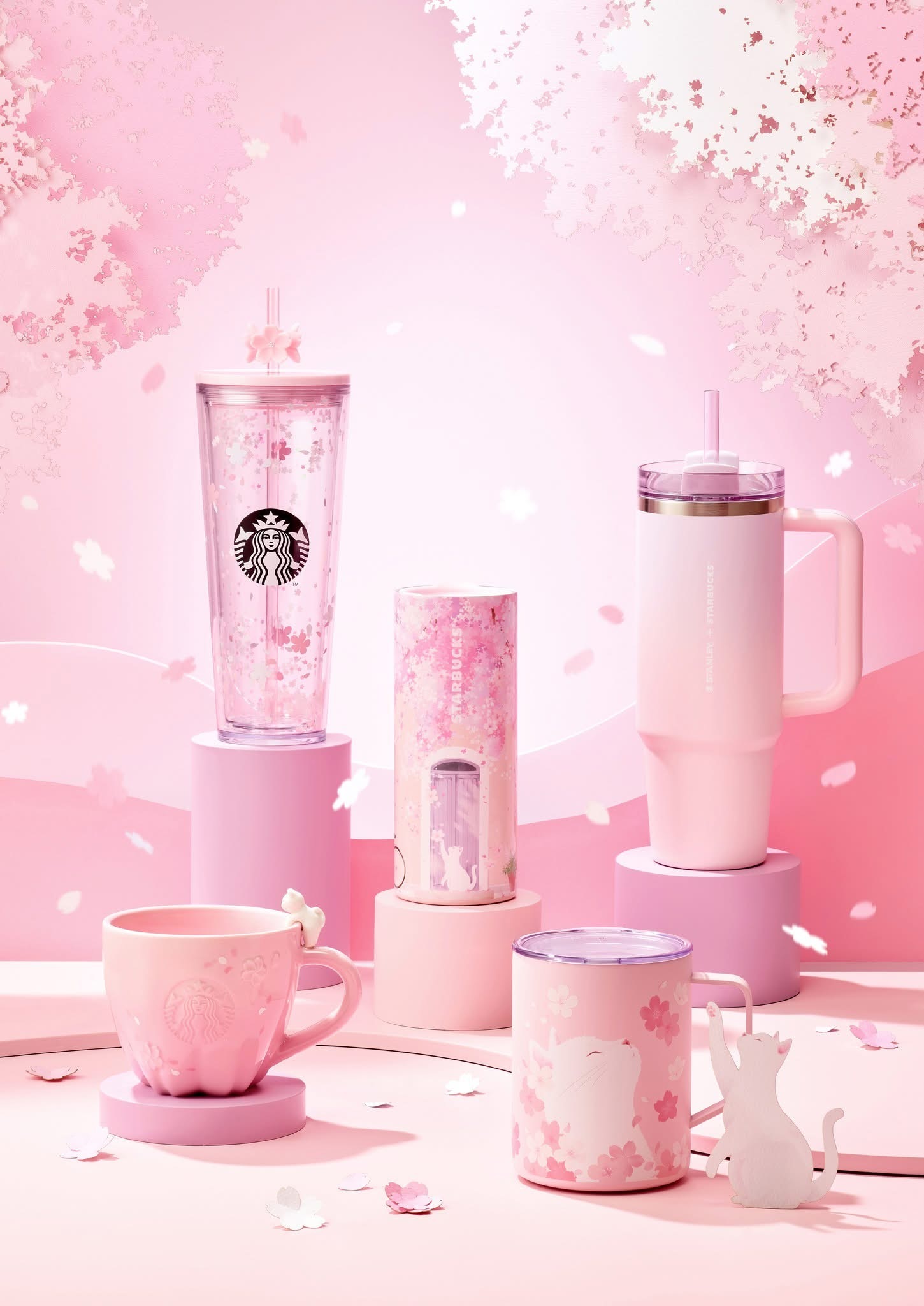 image_95D25D8A-F02C-4F63-A1D2-C871476468CD_1772781238