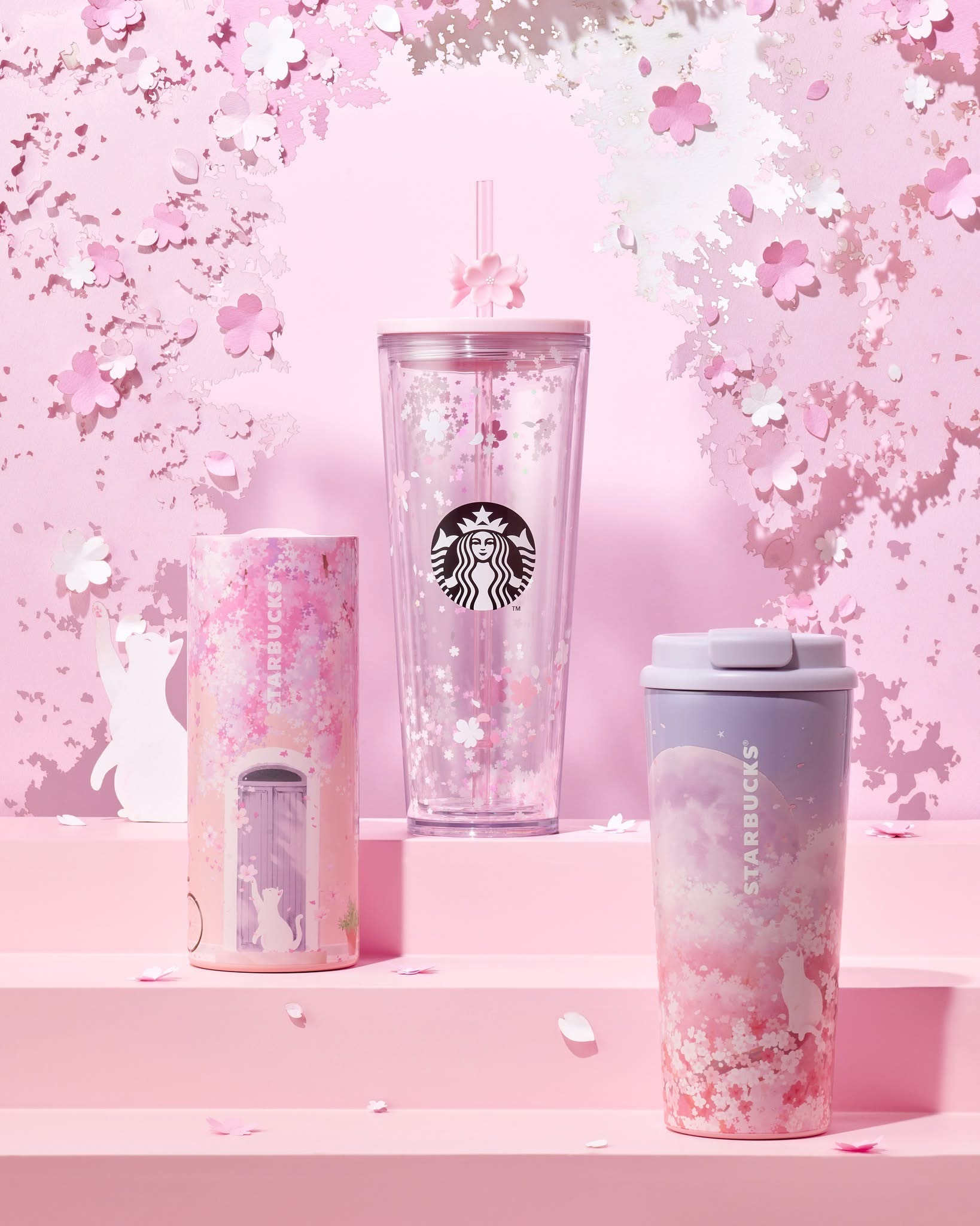 image_BEC5ADFC-7A66-4AED-B193-C065BC33917F_1772781238