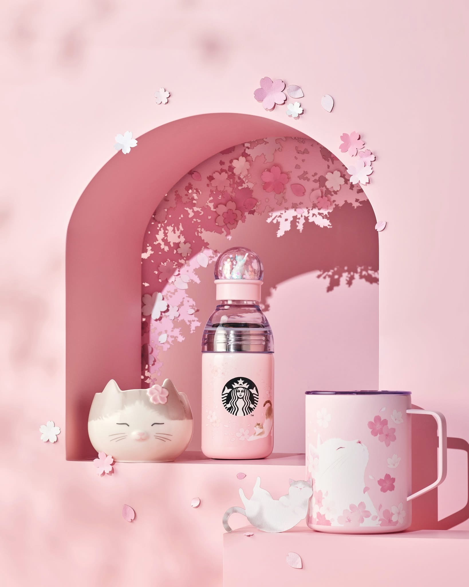 image_F9C701E7-9294-47EC-BA13-16AD1D86115A_1772781238