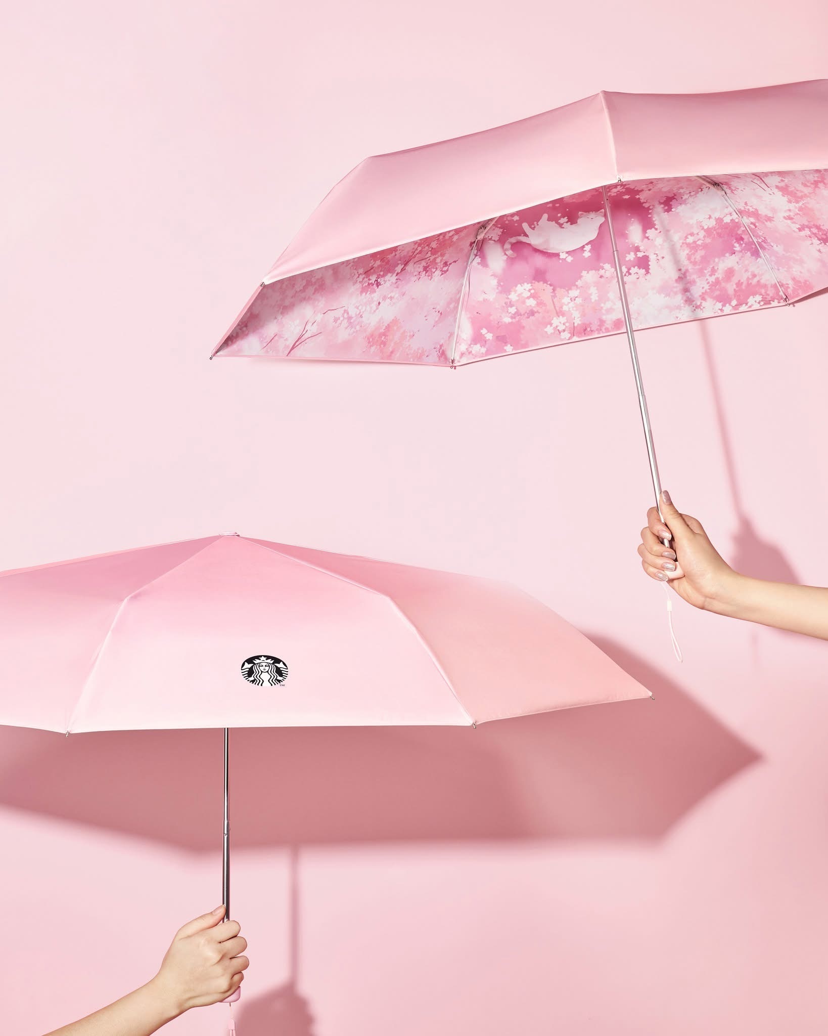 image_39A123F5-3259-41C2-8482-D0C835A4CA0E_1772781238