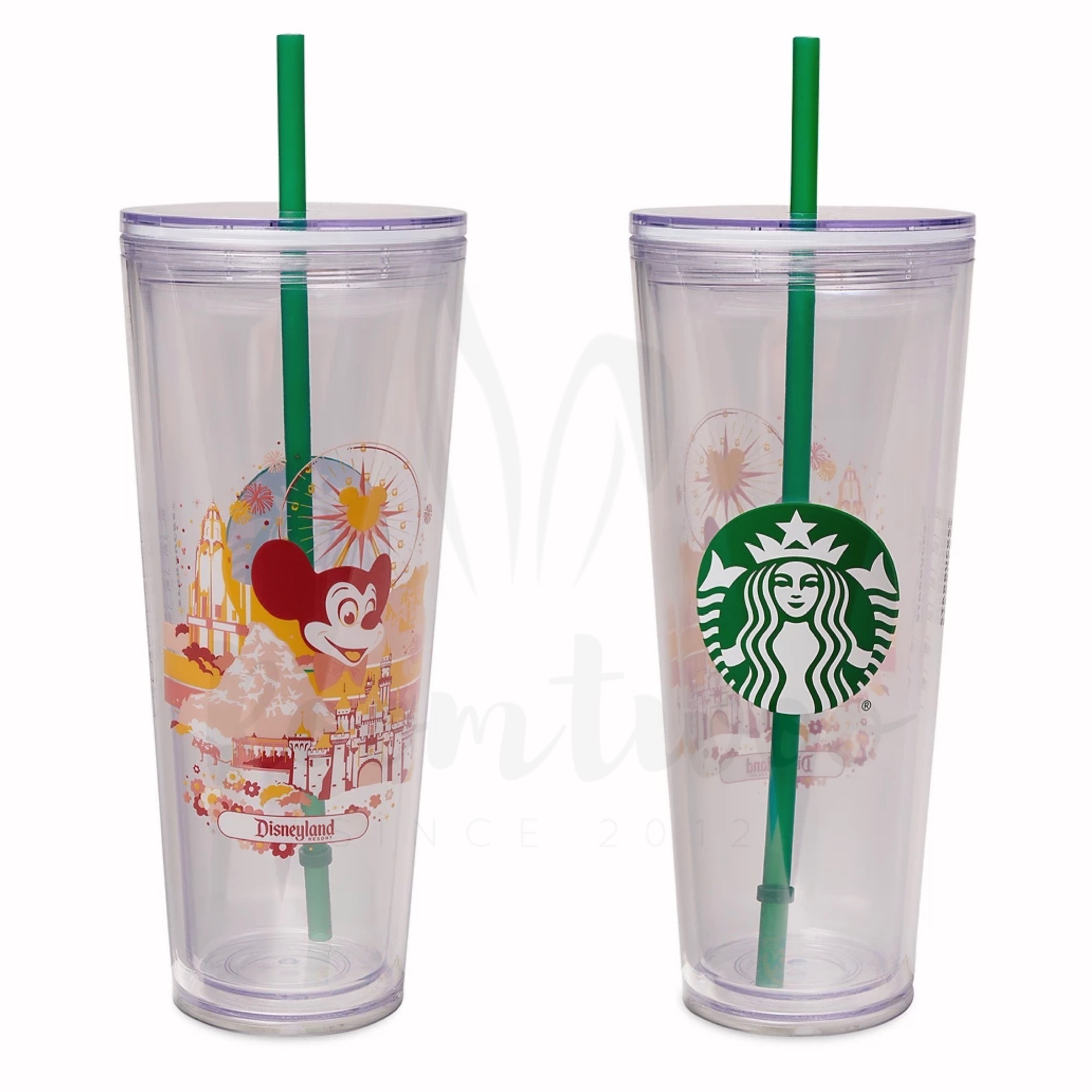 HKDL - Starbucks x Disneyland Parks Cold Cup Tumbler