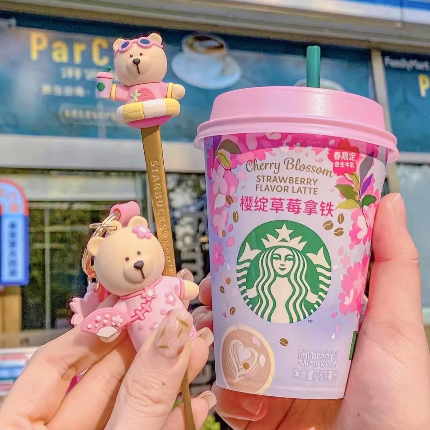 Starbucks New Bear Cup - Where To Find Starbucks Bearista Cup