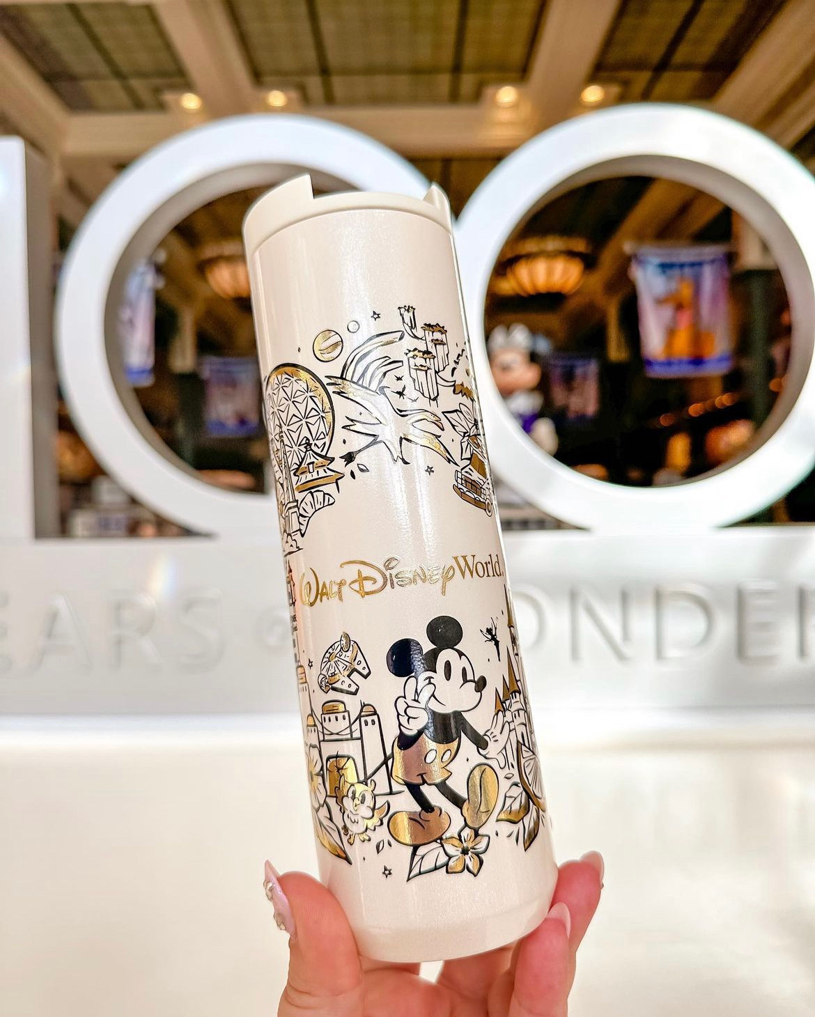 The Starbucks x Disney Tumbler Collection