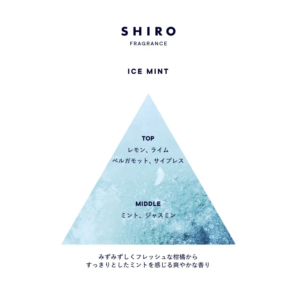 icemint_triangle_2025