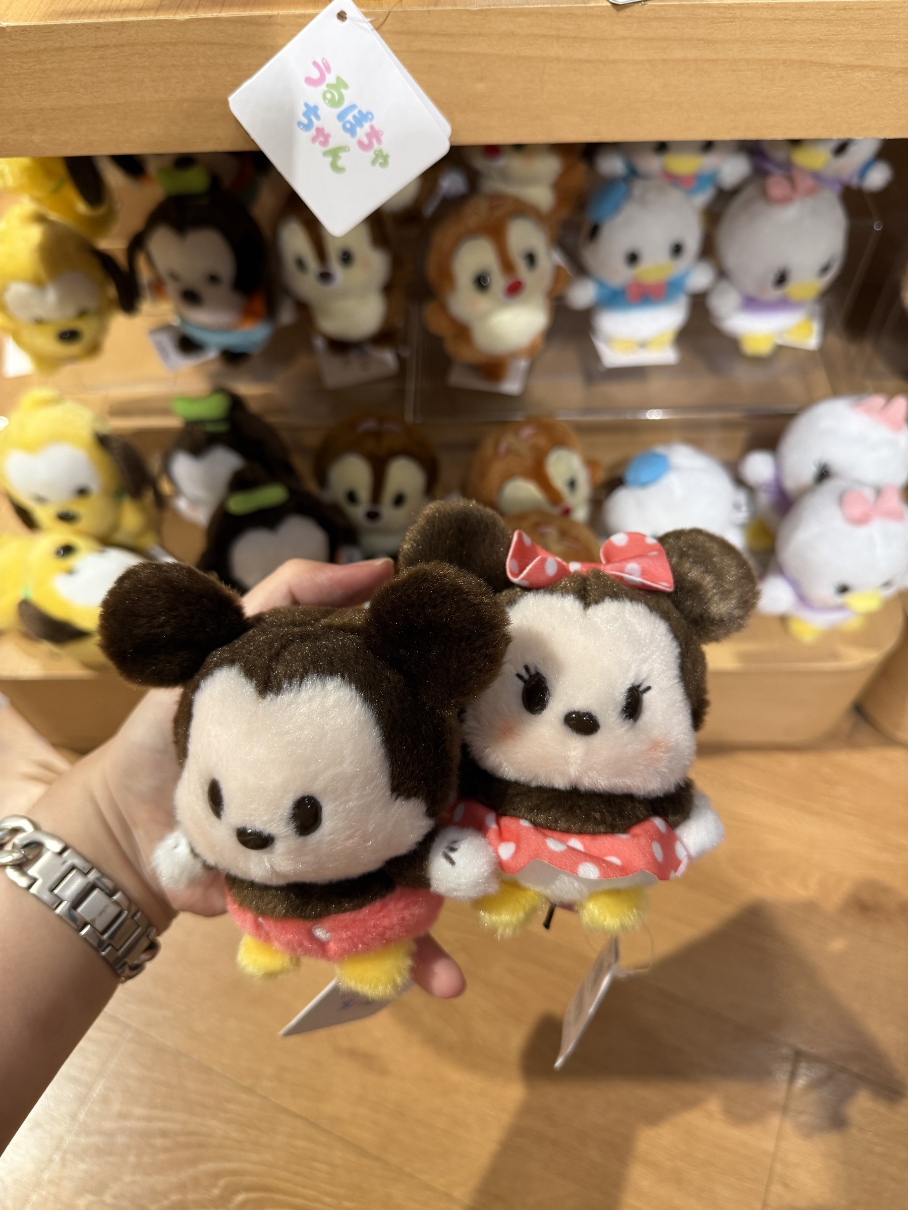 image_760297CF-433B-42D7-8FAC-2776B3D95AEC_1753551759