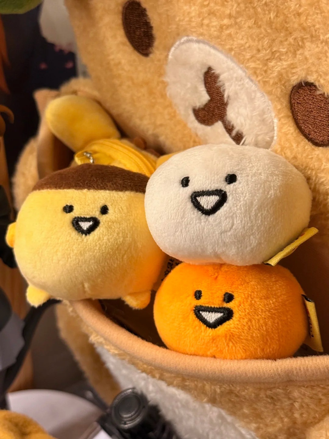 🍮(·▽·)_6_爆破小鸡_来自小红书网页版