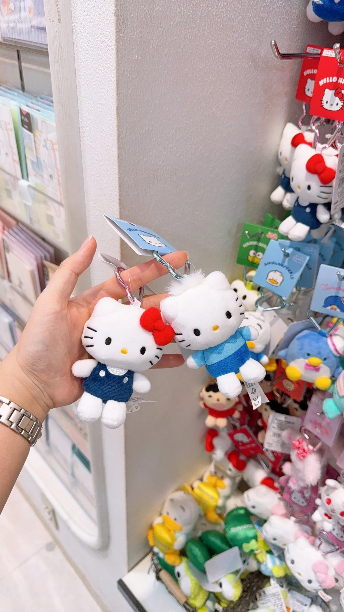 image_5F24F9DD-2FF2-48B0-A600-DA2F02D5D443_1758307156