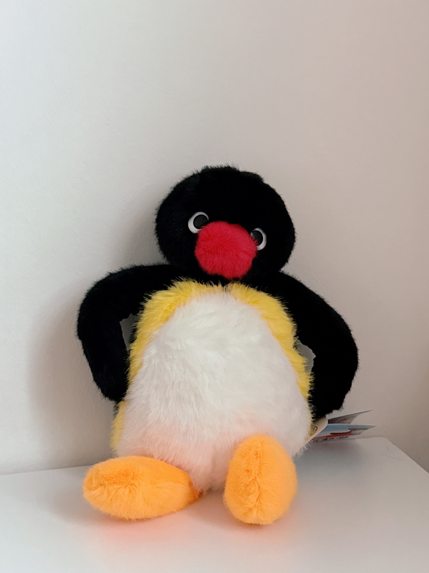 image_4C81E079-9DF4-49FB-9730-3D3E4DD4725B_1761794375