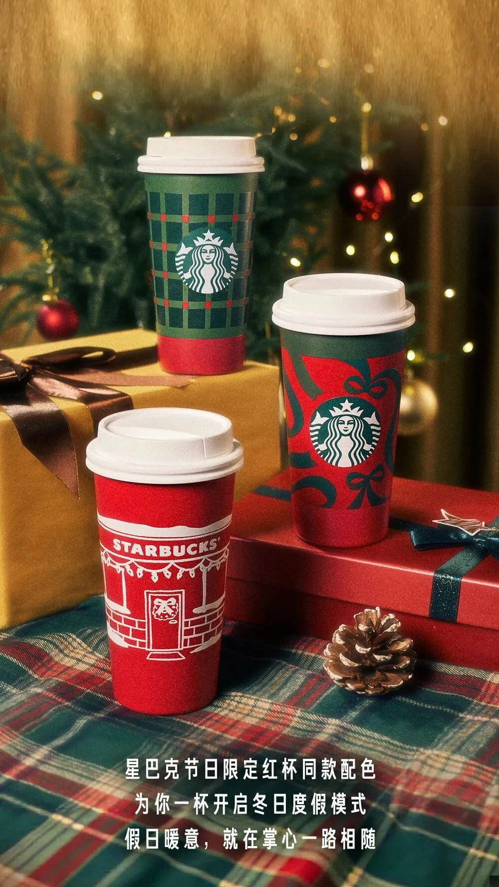 image_3CAAB736-6956-4FEC-A8CB-87446C025BE2_1762929144