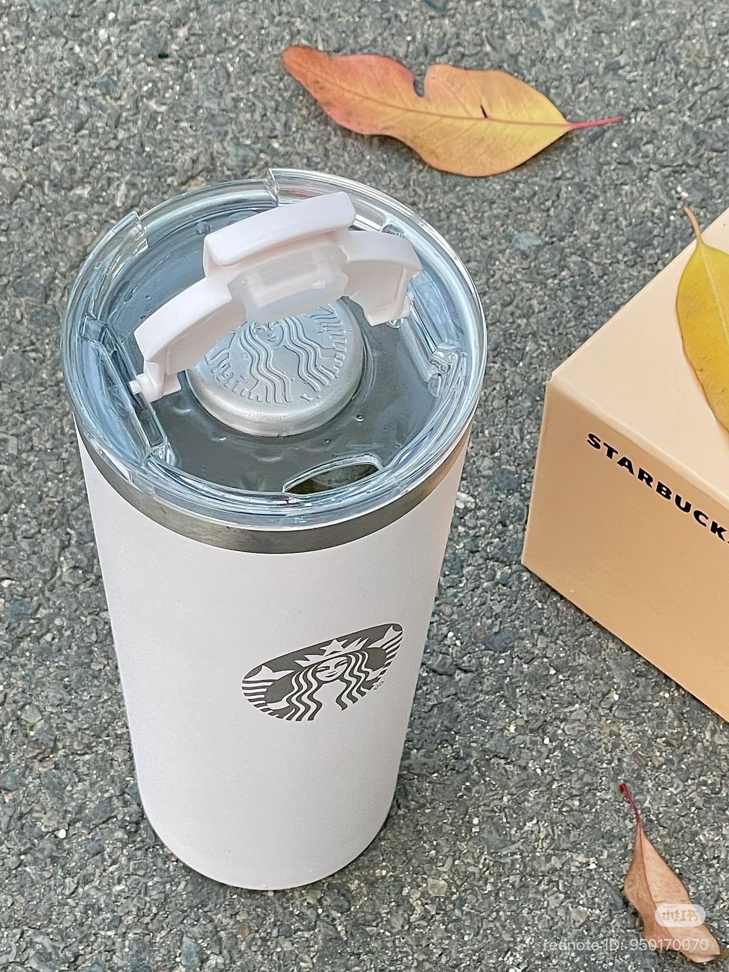 image_5AFCBE59-32AB-4D35-9B2D-C0F2FDB82EBD_1766834335