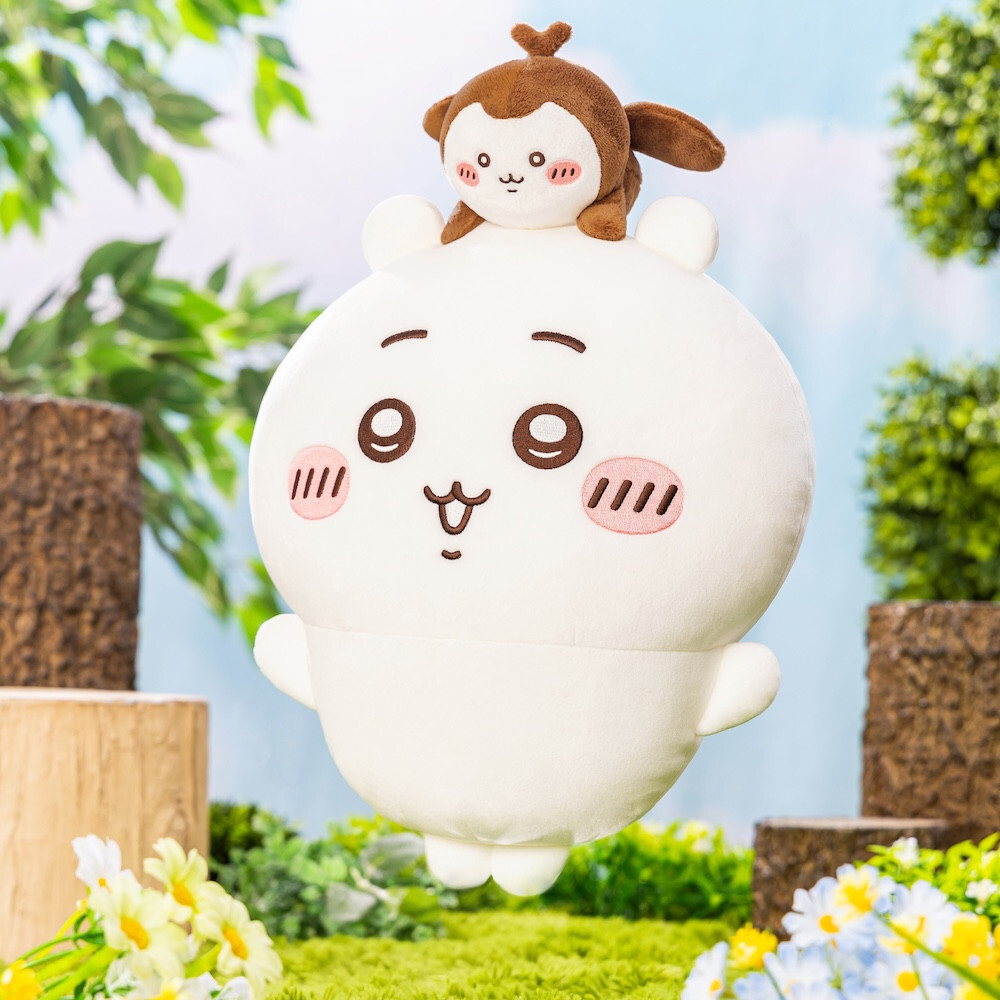 image_1BF1D29C-1B93-44A4-B09F-DBF72CB7D2B4_1771911324