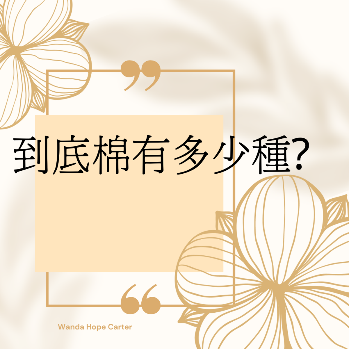 到底棉有多少種?