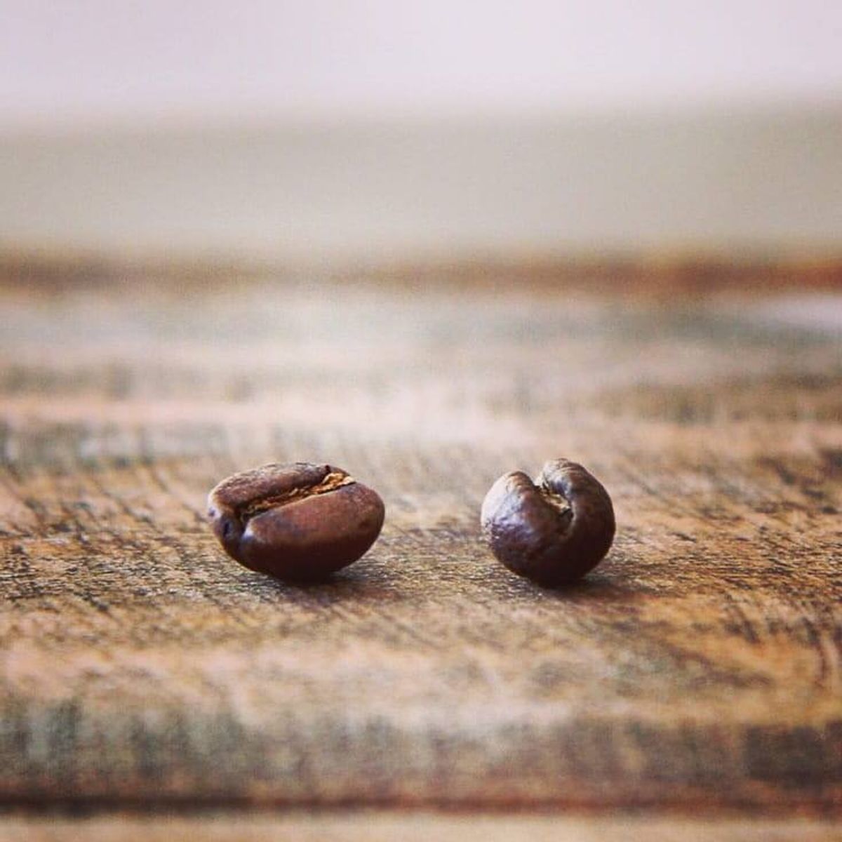 公豆母豆，原來咖啡豆有性別之分？？？