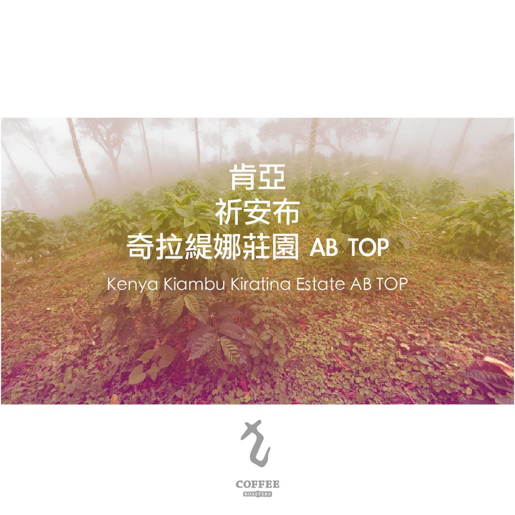 肯亞 祈安布 奇拉緹娜莊園 AB TOP