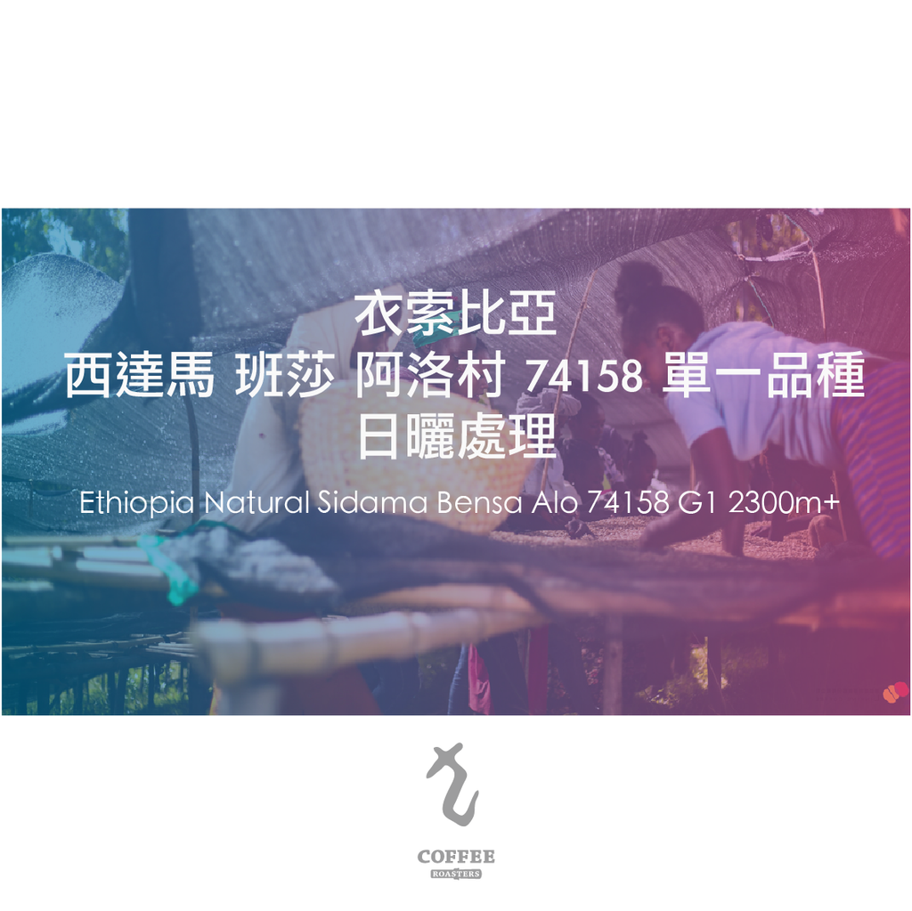衣索比亞 西達馬 班莎 阿洛村 74158 單一品種 日曬處理