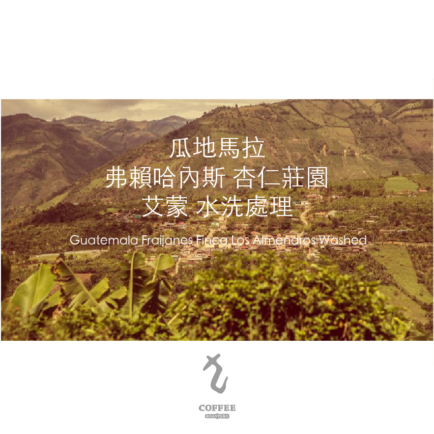 瓜地馬拉杏仁莊園艾蒙水洗