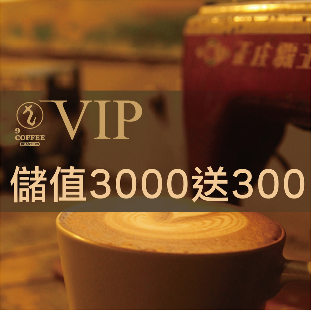 VIP儲值3000送300.png