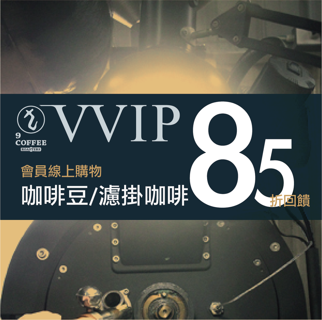 VVIP85折.png