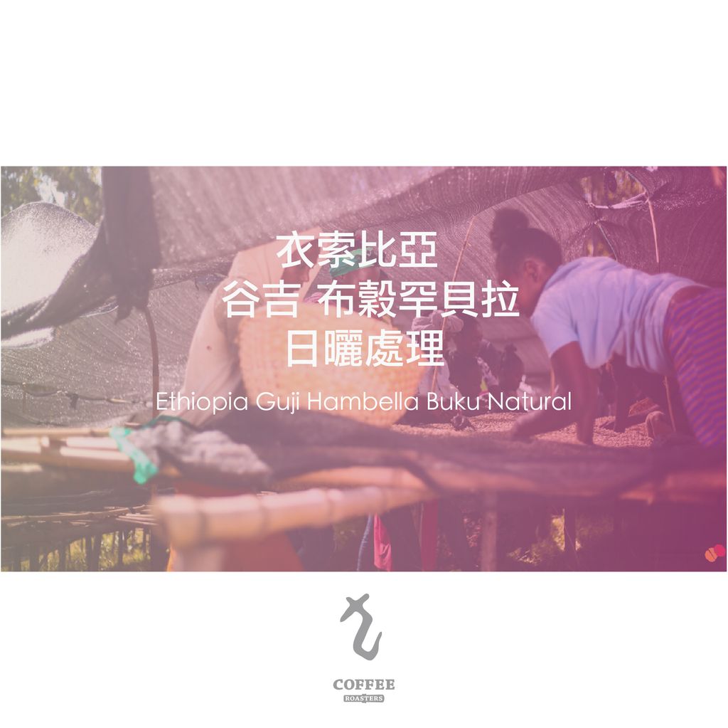 衣索比亞谷吉布榖罕貝拉日曬