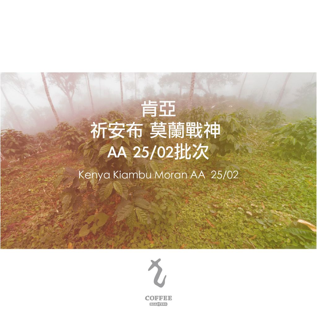肯亞祈安布墨蘭戰神aa