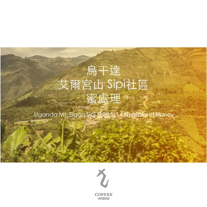 烏干達艾爾宮山Sipi社區蜜處理