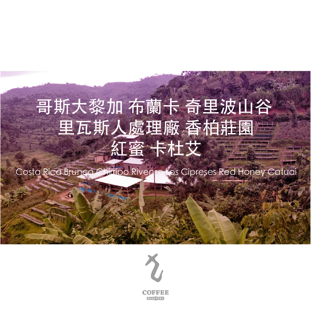 哥斯大黎加布蘭卡奇里波山谷 里瓦斯人處理廠 香柏莊園 紅蜜 卡杜艾