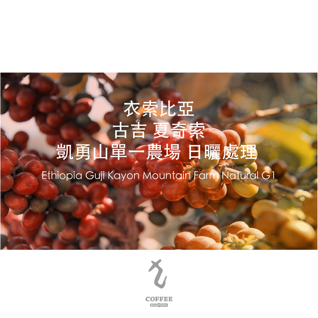 衣索比亞 古吉夏奇索凱勇山單一農場日曬處理