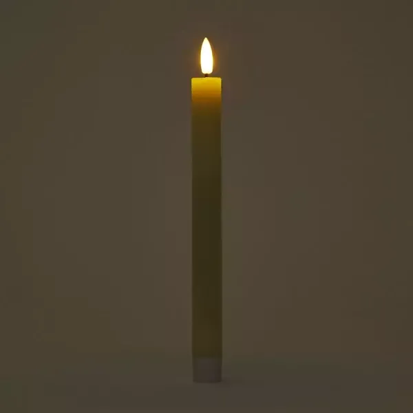 LED蠟燭燈 (24.5cm / 2入組)