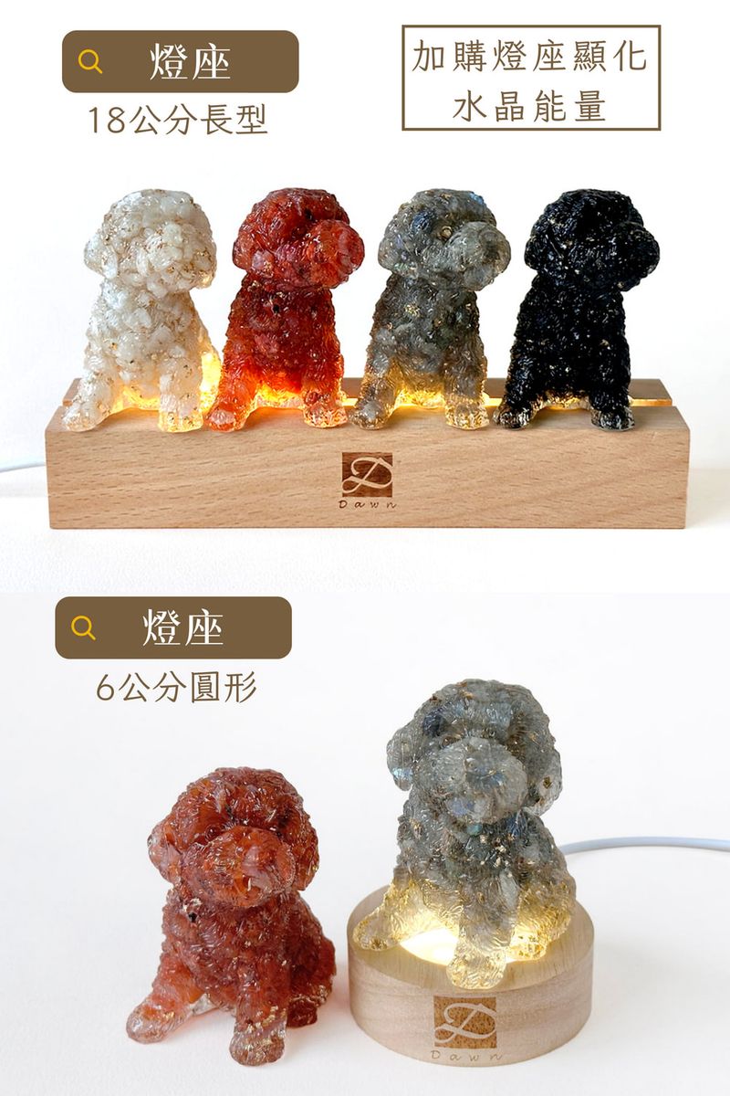 彤恩時尚_M號水晶貴賓狗 (4)