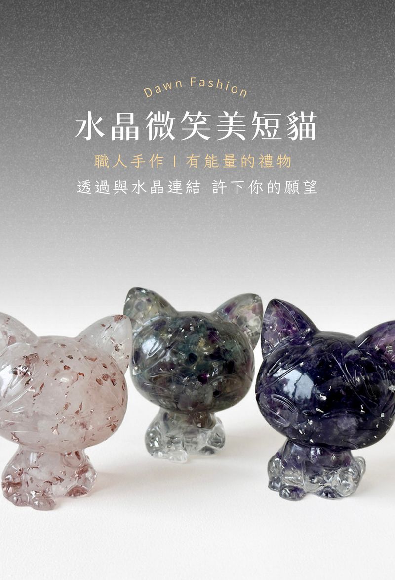 001_彤恩時尚-微笑美短貓_vivipic