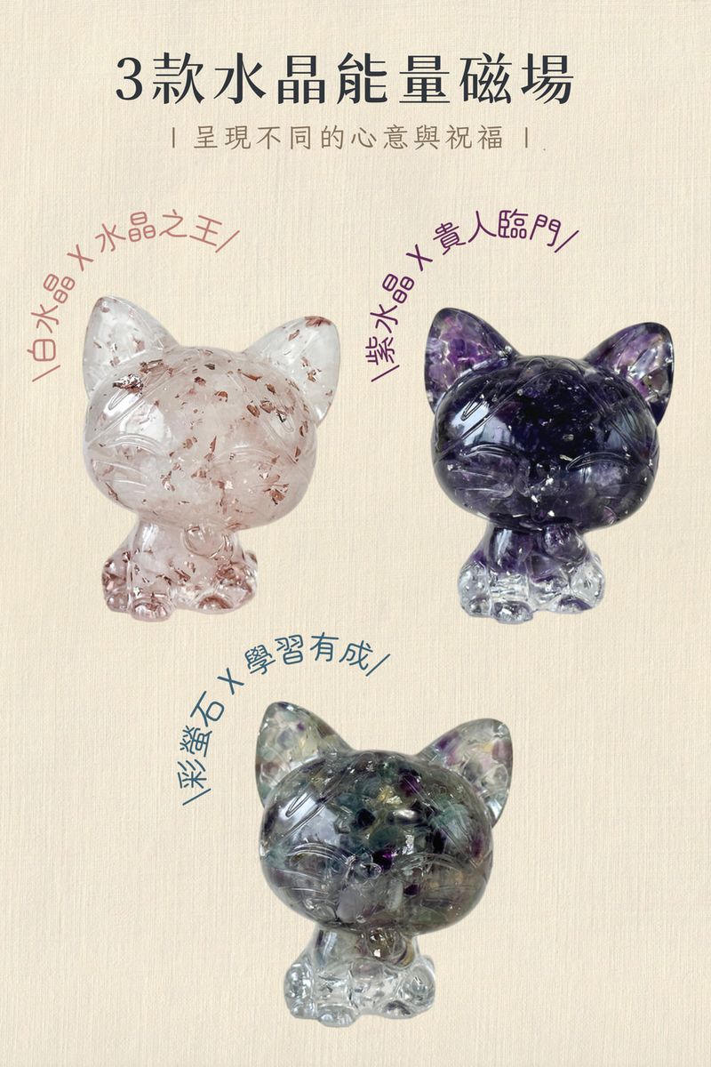 002_彤恩時尚-微笑美短貓_vivipic