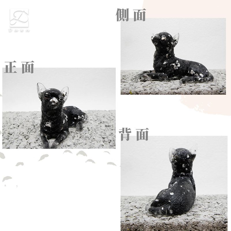 M號吉娃娃細節圖.jpg