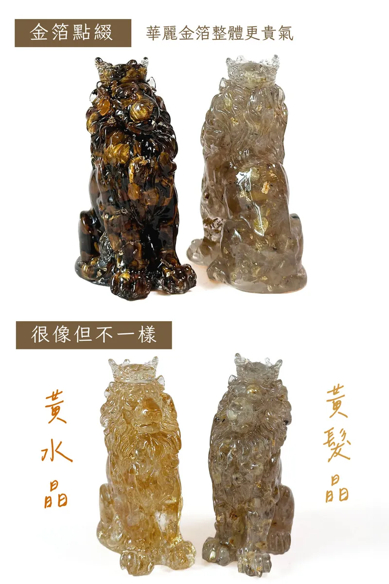 彤恩時尚-霸氣獅子王 (4)