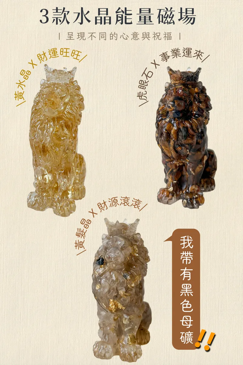 彤恩時尚-霸氣獅子王 (2)